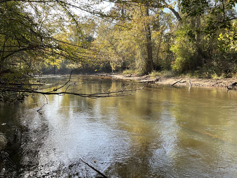 Beautiful Creekfront Hunting Land : Leesburg : Lee County : Georgia