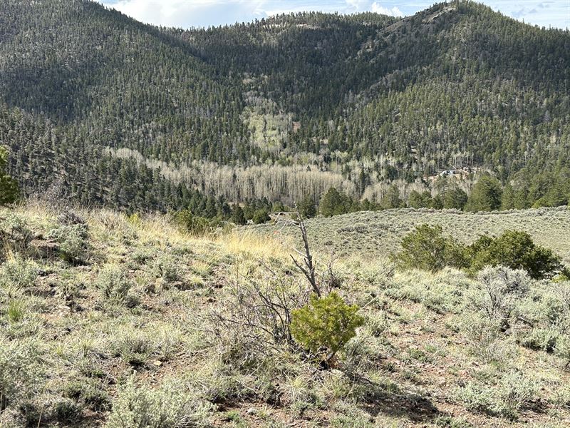 Year Round Hunting Ground : Fort Garland : Costilla County : Colorado