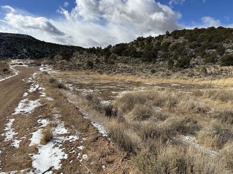 Colorado Clearing Near The Lake : Fort Garland : Costilla County : Colorado