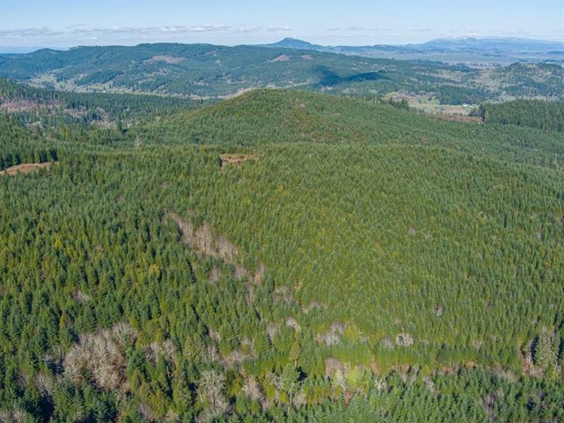 390 Acres in Creswell, Oregon : Creswell : Lane County : Oregon