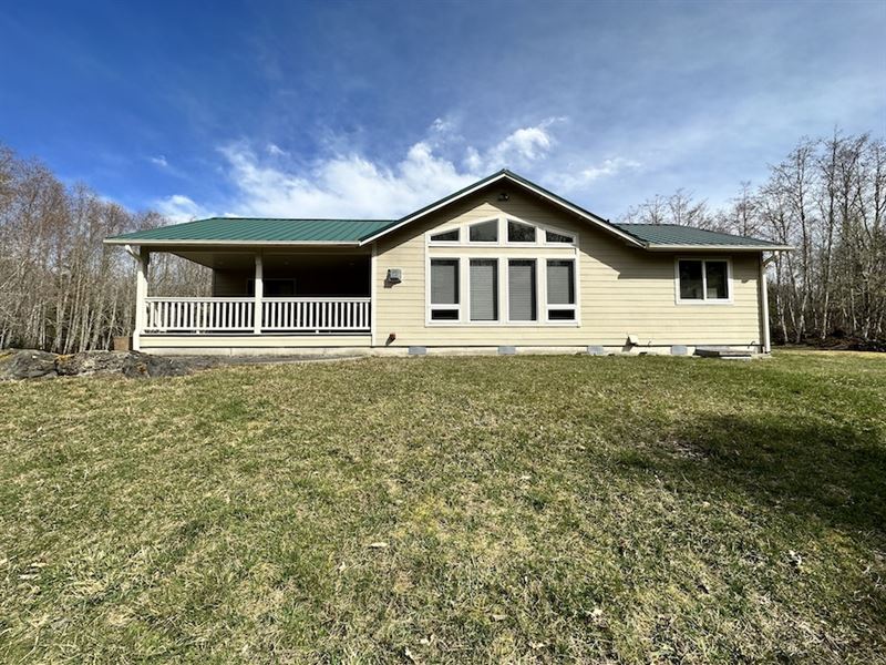1545 Ripley Creek : Quilcene : Adams County : Washington