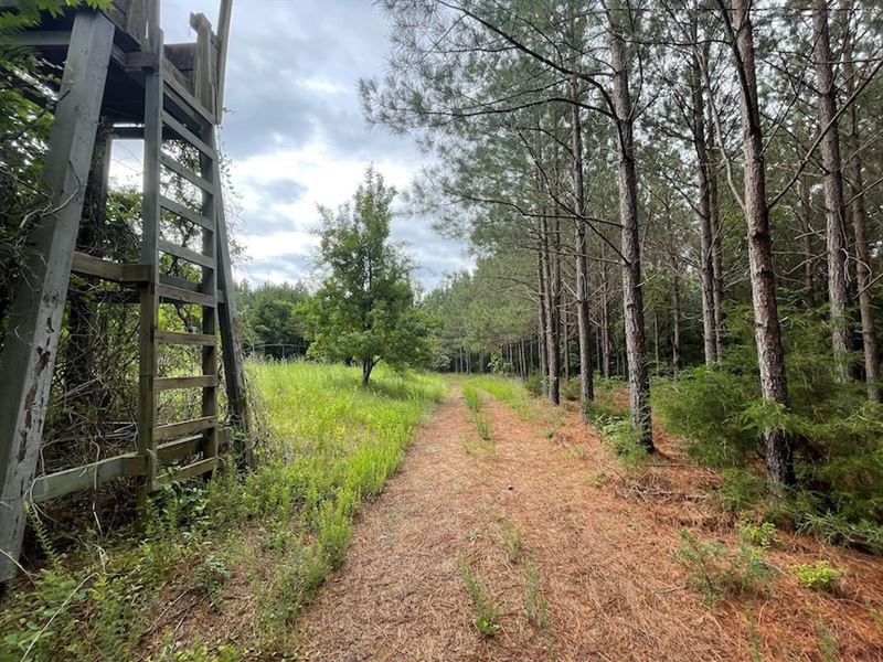 252 Acres in Mcconnells, South Carolina : McConnells : York County : South Carolina