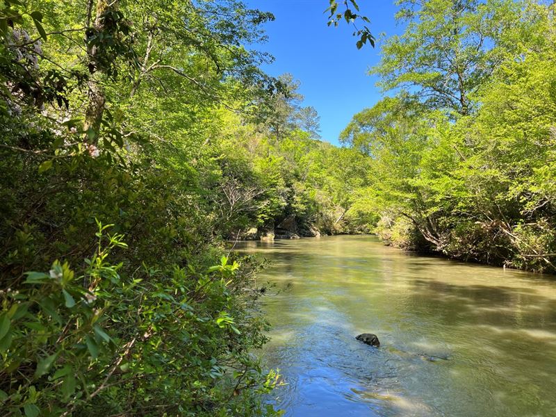 Pate Road : Cragford : Clay County : Alabama