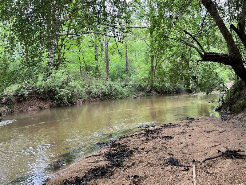 Bluff Valley Road : Ashland : Clay County : Alabama