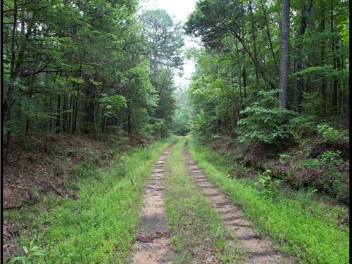 174 Acres In Montgomery County : Vaiden : Montgomery County : Mississippi