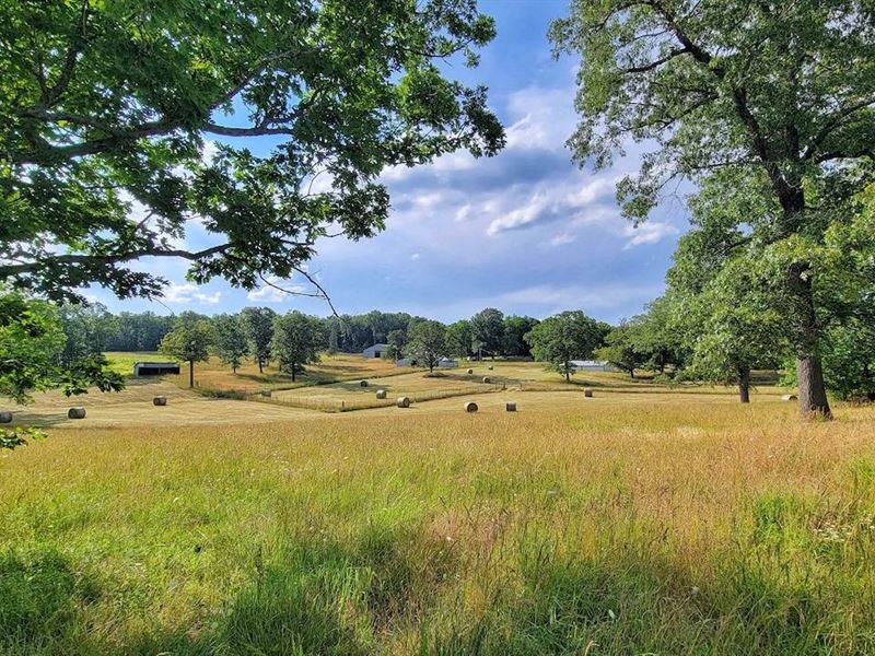 Horse Property, Riding Arena, Home : Mountain View : Howell County : Missouri