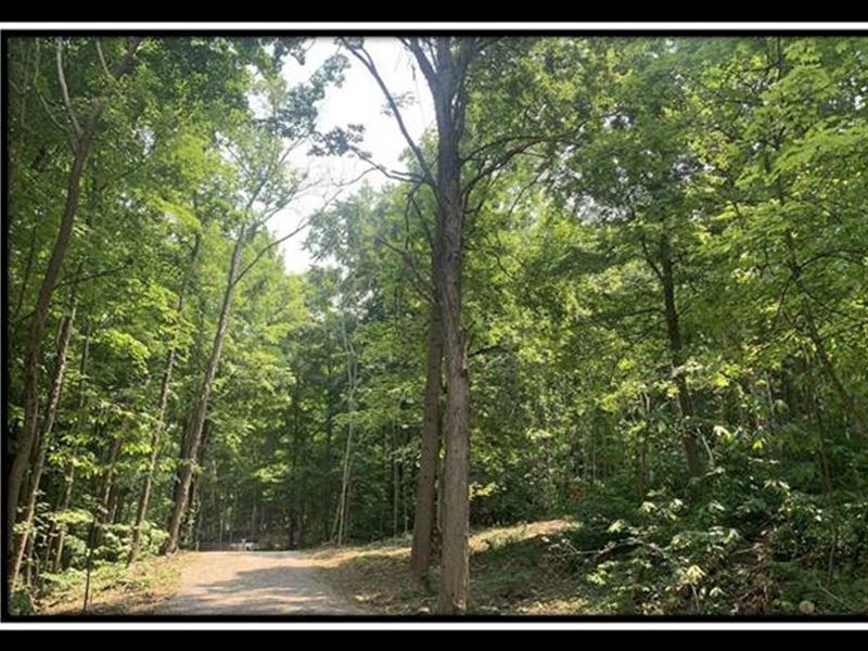 Tract 2, The Woods at Potts Hill, Farm for Sale in Ohio, 352052 FARMFLIP