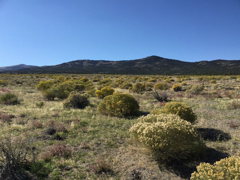 Secluded Country Living : Montello : Elko County : Nevada