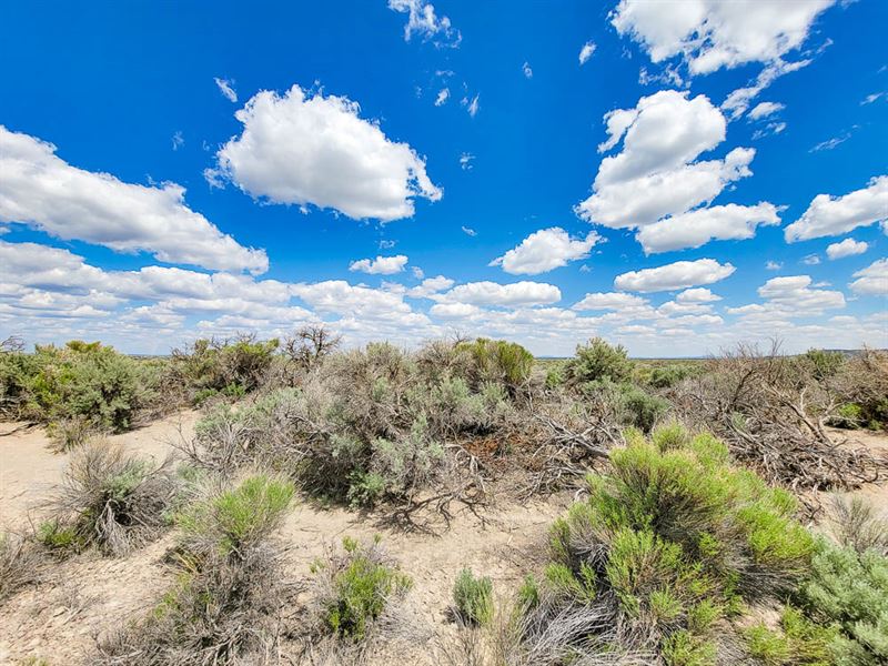 Your 20 Acre Pristine Oasis, Farm for Sale by Owner in Oregon, 352111