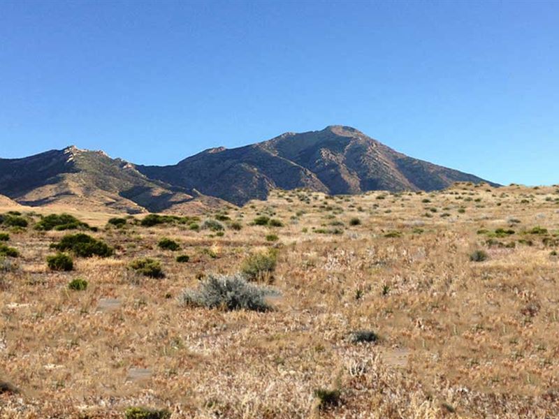 Northern Nevada, Back To Nature : Lovelock : Pershing County : Nevada