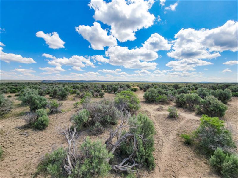 Unlock The Potential of 20 Acres : Christmas Valley : Lake County : Oregon