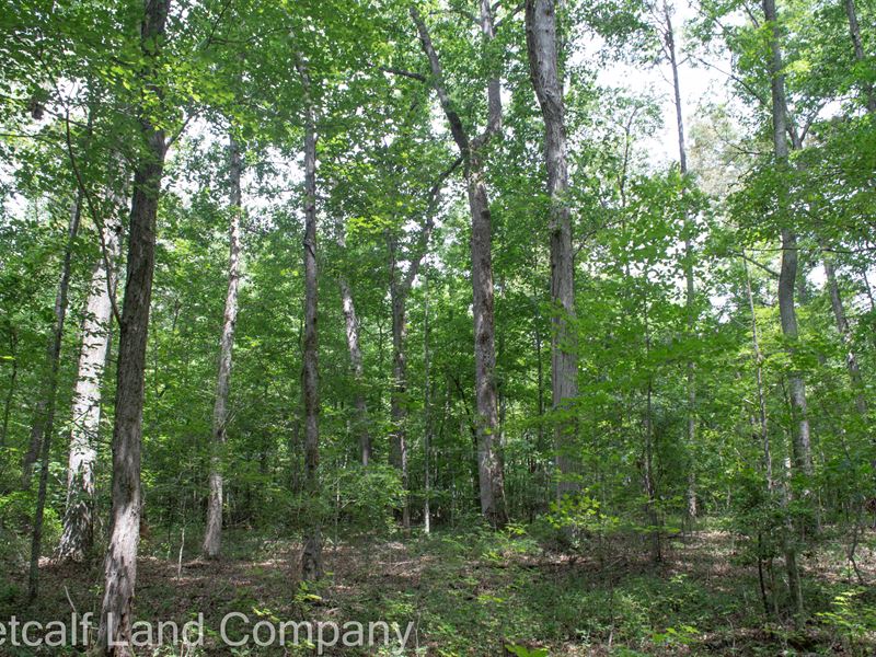 21 Acres in Cherokee County : Gaffney : Cherokee County : South Carolina