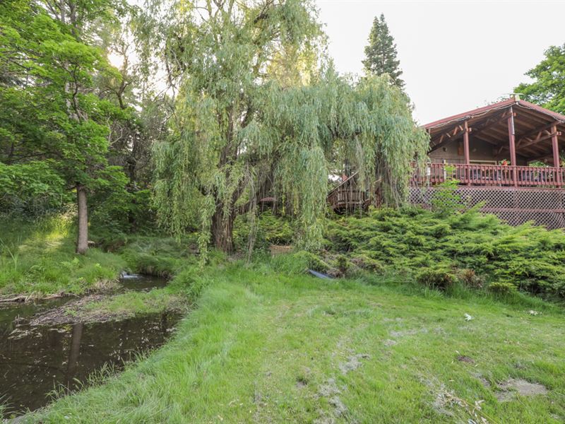 Frizzell Creek Recreational Retreat : Summerville : Union County : Oregon