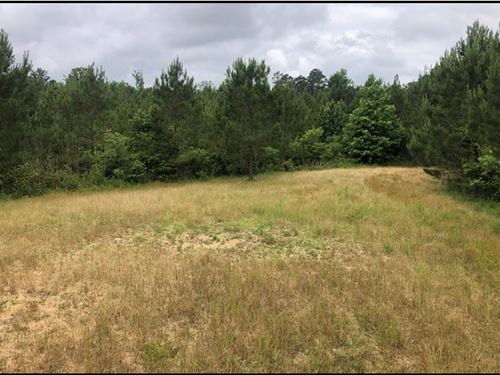 79.6 Acres In Holmes County In Dura : Durant : Holmes County : Mississippi