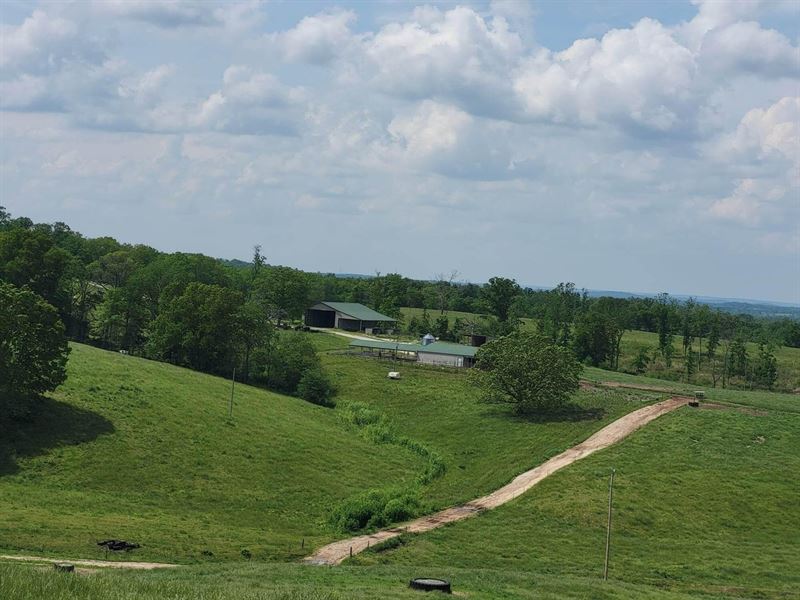 Active Dairy Farm : Cabool : Texas County : Missouri