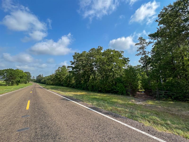 236 Acres, Ih-45N T-271006-2 : Huntsville : Walker County : Texas