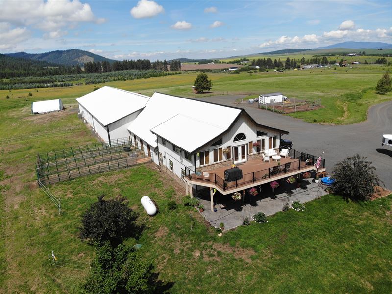 Idaho Horse Ranch for Sale : Worley : Kootenai County : Idaho