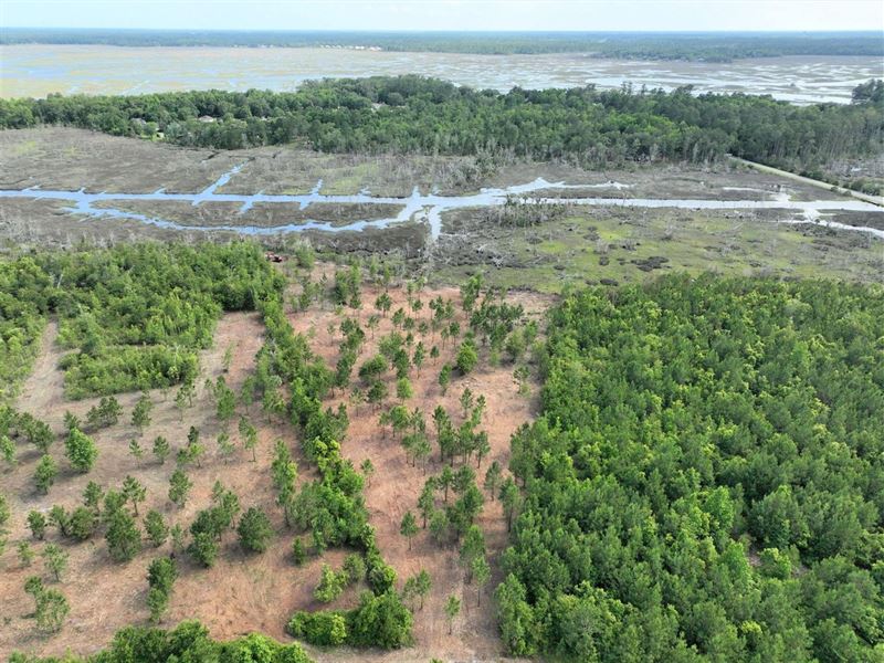 8.43 Ac Marshfront Land for Sale : Woodbine : Camden County : Georgia