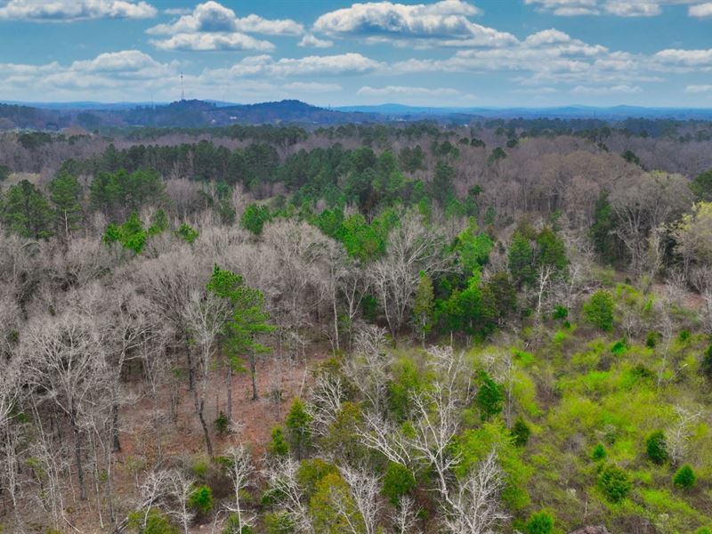 10 Acres Cedartown, GA : Cedartown : Polk County : Georgia