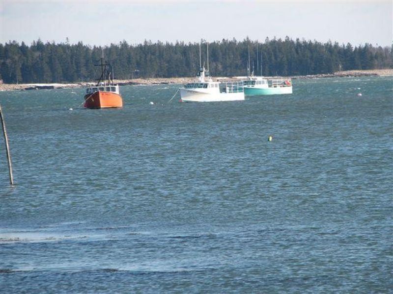 Dyer Bay Acreage in Downeast Maine, Farm for Sale in Maine, 35246