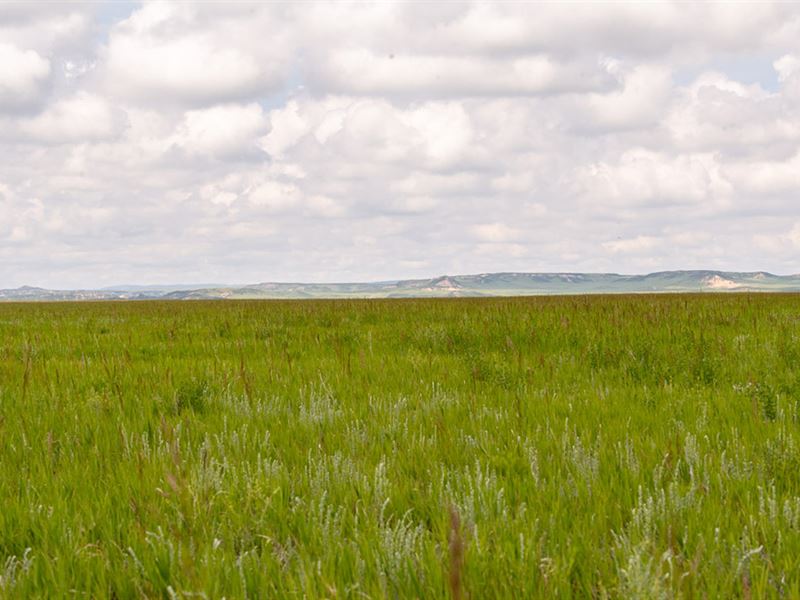 Milburn Ranch : Chugwater : Platte County : Wyoming