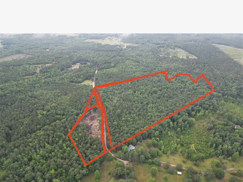 Multi Use Oglethorpe County Estate : Lexington : Oglethorpe County : Georgia
