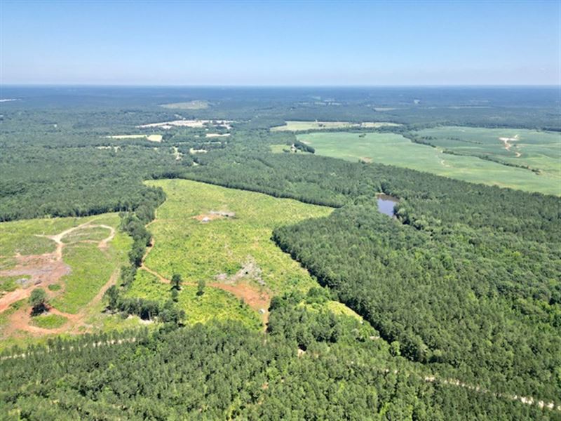 Ideal Farm, Hunting Tract or Estate : Lexington : Oglethorpe County : Georgia