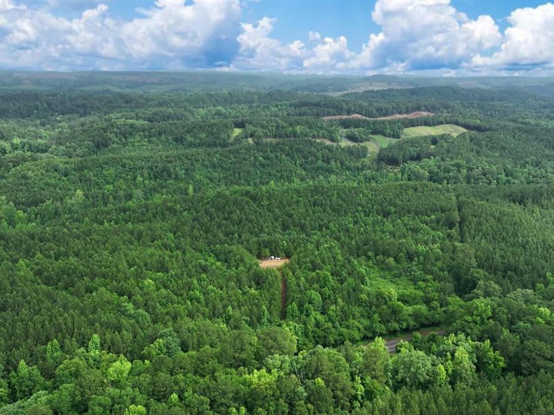 40 Acres with Creek in Alabama, Farm for Sale by Owner in Alabama, 352740 FARMFLIP