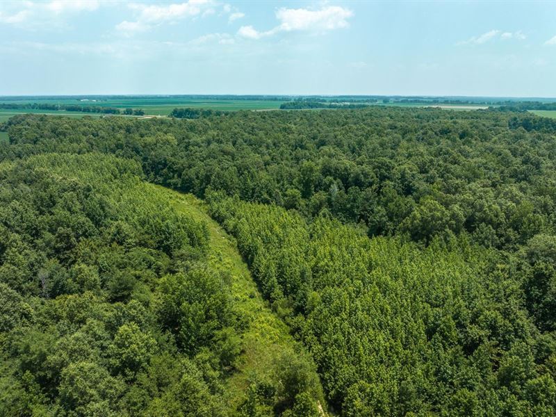 Woodlands of Neelyville : Neelyville : Butler County : Missouri