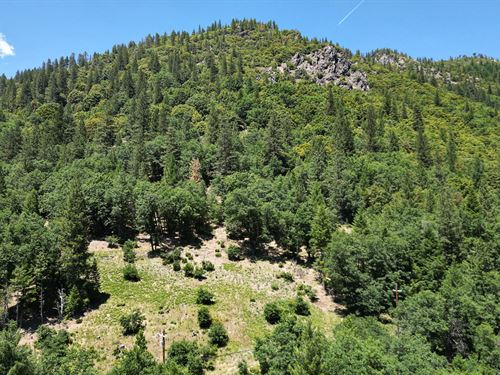 Sierra Buttes Vista : Sierra City : Sierra County : California