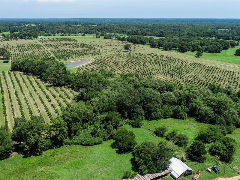 91.38 Acre Peach Orchard, Farm for Sale in Texas, 352920 FARMFLIP
