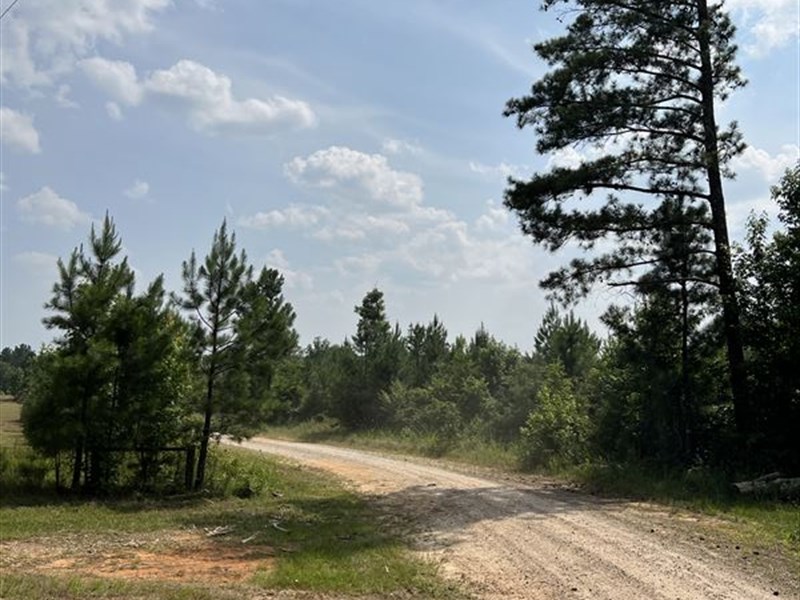 Greene County Mini Farm : White Plains : Greene County : Georgia