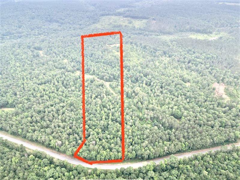 Lexington Tract, Hardwoods & Deer : Lexington : Oglethorpe County : Georgia
