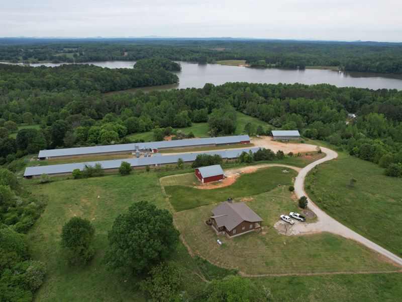 Sibcy Breeder Farm : Maysville : Banks County : Georgia