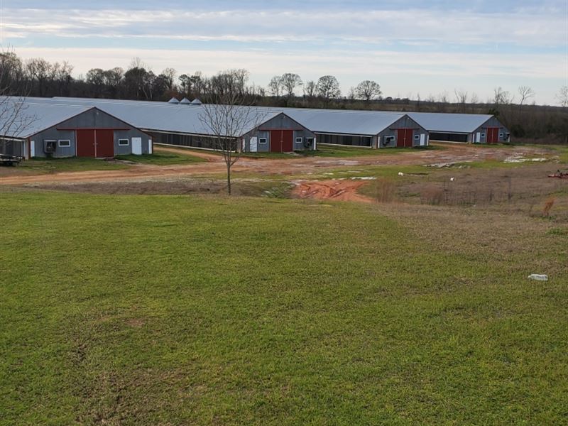 4 House Poultry Farm : Hawkinsville : Pulaski County : Georgia