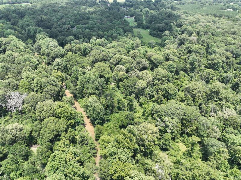 20.44 Ac in East Feliciana Parish : Clinton : East Feliciana Parish : Louisiana