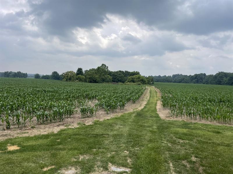 Land for Sale 80 Acres in Switzerla : Canaan : Switzerland County : Indiana