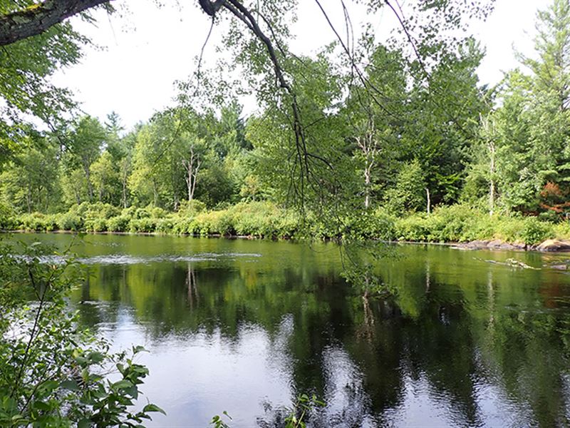 Overlook Rapids Parcel : Fowler : Saint Lawrence County : New York