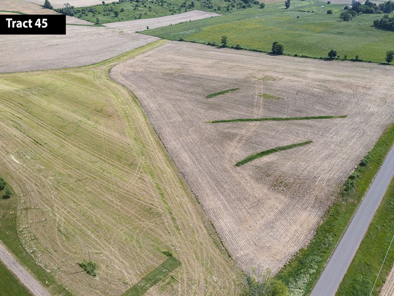 Part of 7,428 Ac, 6 WI Co Auction, Farm Auction in Wisconsin, 353213 FARMFLIP