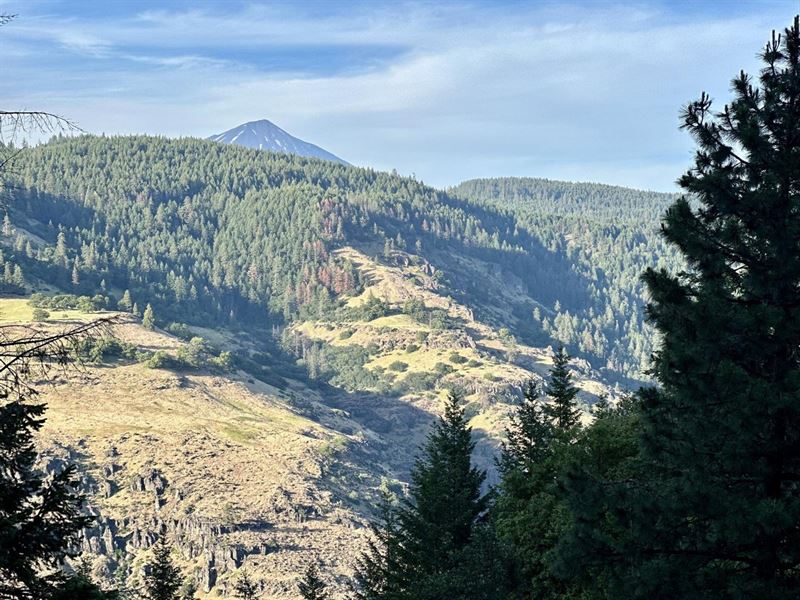 S F Little Butte Creek Rd 167 Acres : Eagle Point : Jackson County : Oregon