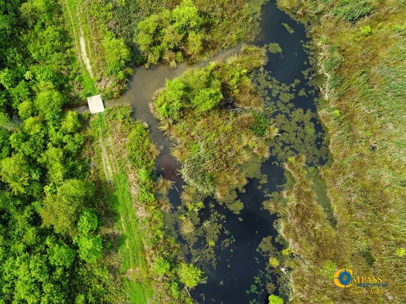 Cypress Southeast Tract : Ridgeville : Dorchester County : South Carolina