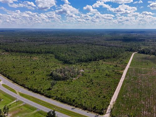 Williams Central Tract 4 : Du Pont : Clinch County : Georgia