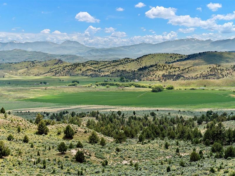 Four S Land & Cattle : Hereford : Baker County : Oregon