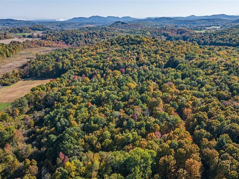 410K Sqft in Argyle, NY, Farm for Sale by Owner in New York, 353374