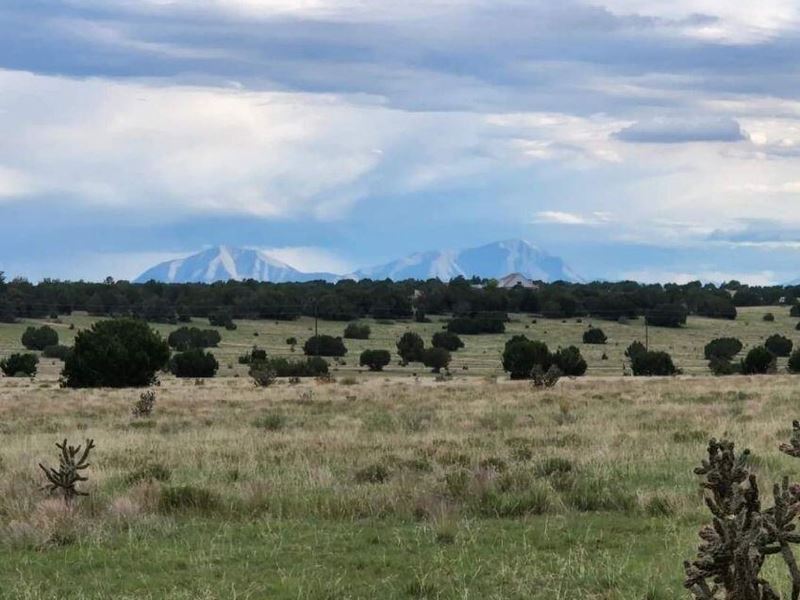 Willow Spring Drive, Pueblo : Pueblo : Huerfano County : Colorado