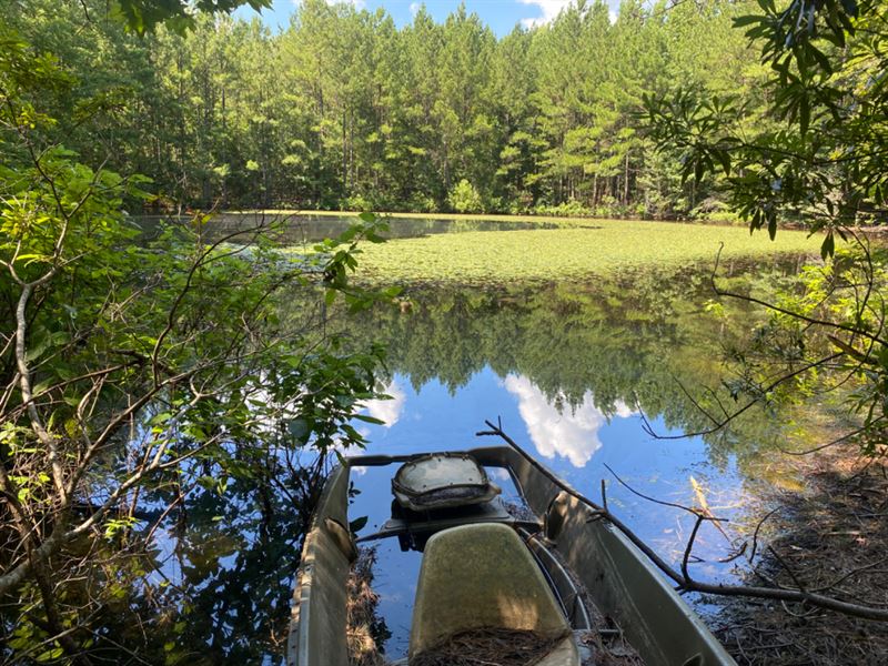 60 Acres with it All.Lake, Creek : Brookhaven : Lincoln County : Mississippi