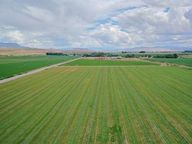 Hillview Farm : Emmett : Gem County : Idaho