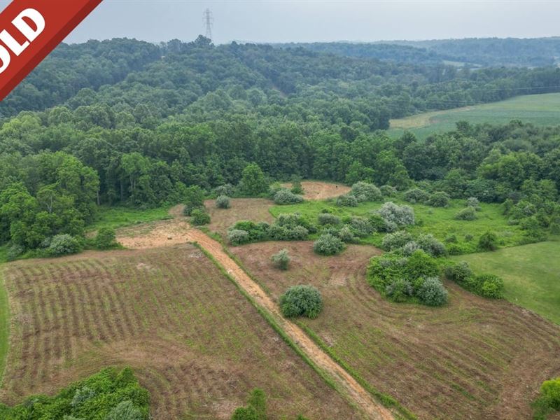 June Marshall Rd, 111 Acres, Jack : Jackson : Jackson County : Ohio