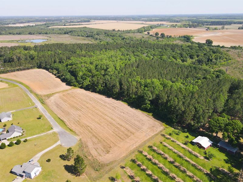 Brushy Creek Tract : Ocilla : Irwin County : Georgia