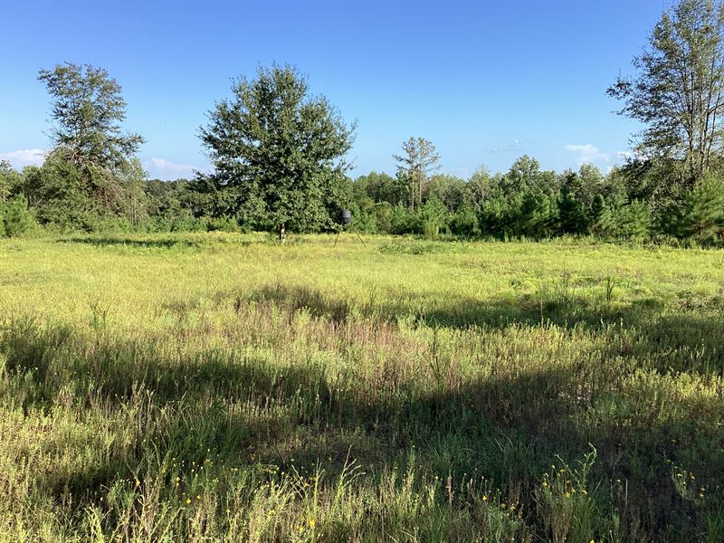 Pond Creek Rd Lots, Farm for Sale in Alabama, 353660 FARMFLIP